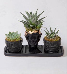 helen 3 lü set 