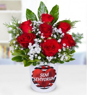 senı sevıyorum 