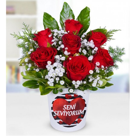 senı sevıyorum 